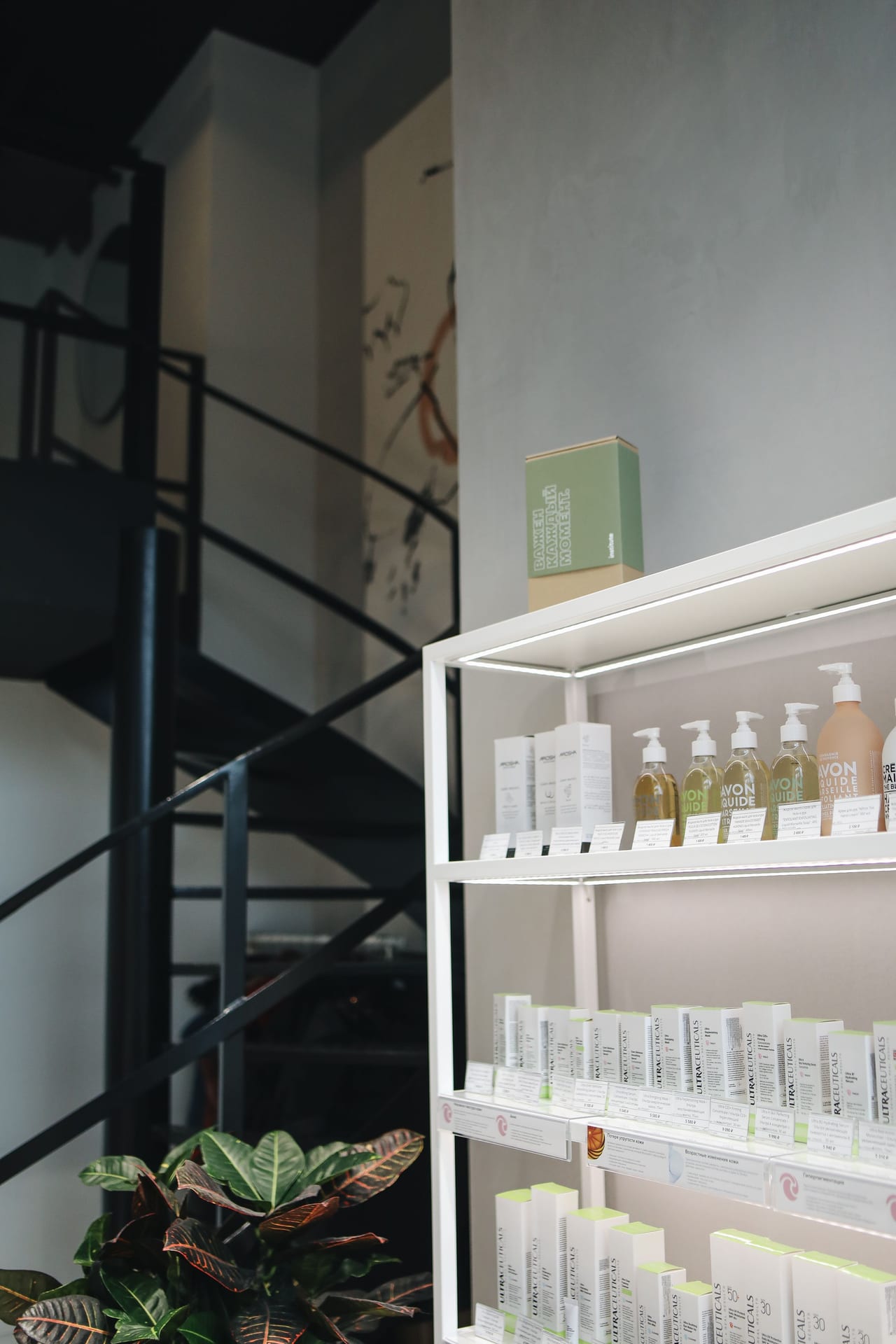 Productos veganos para el cuidado del cabello