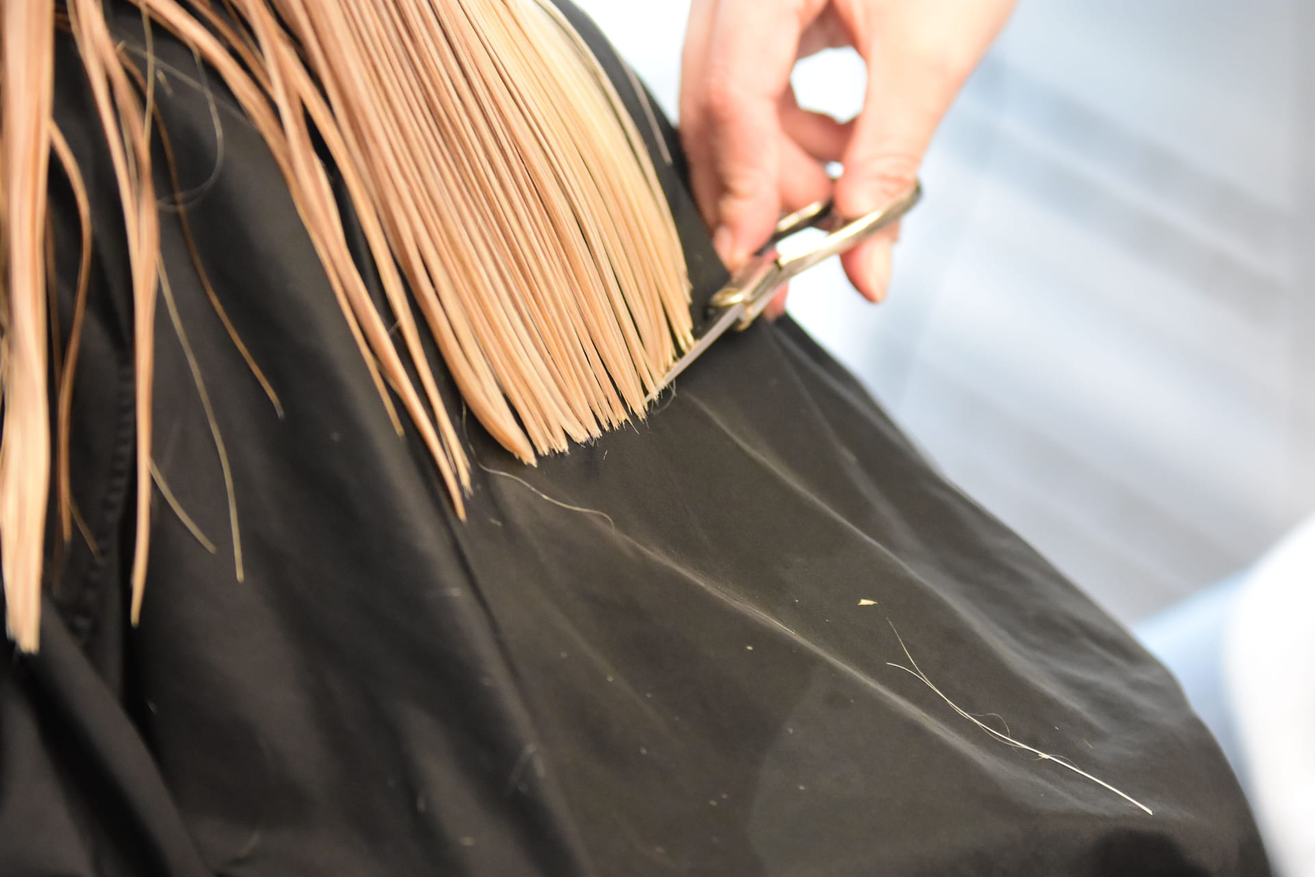 Estilista cortando el cabello a una clienta